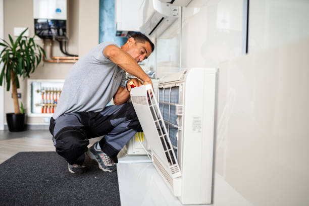 Best Affordable Duct Cleaning Services  in Lake Elsinore, CA