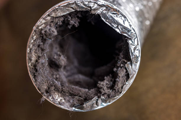 Best Local Air Duct Cleaning Services  in Lake Elsinore, CA