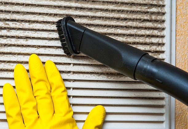 Best Professional Duct Cleaning Services  in Lake Elsinore, CA
